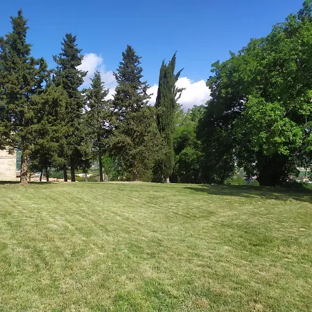 B&B Rosmarino