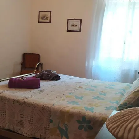 Rosmarino *