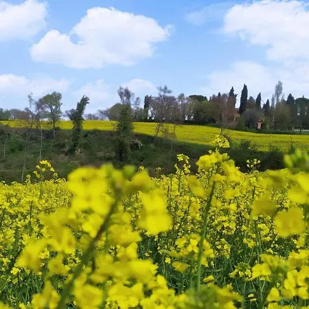 Rosmarino Bed & Breakfast