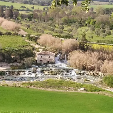 Rosmarino * Città della Pieve