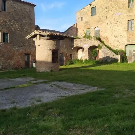 Rosmarino Città della Pieve