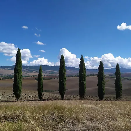 Rosmarino * Città della Pieve