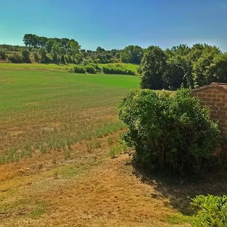 Rosmarino