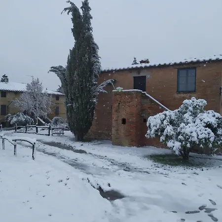 Rosmarino * Città della Pieve